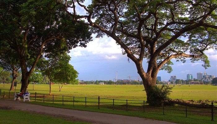 Runners on the Queen's Park Savannah loop