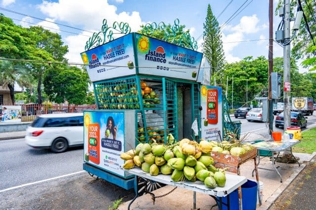 Coconut vendor on the Savannah perimeter